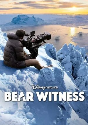 Bear Witness                                2022